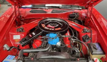 Mustang Mach 1 – 5.8 V8 full