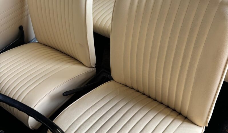 Fiat 500 Berlina lleno